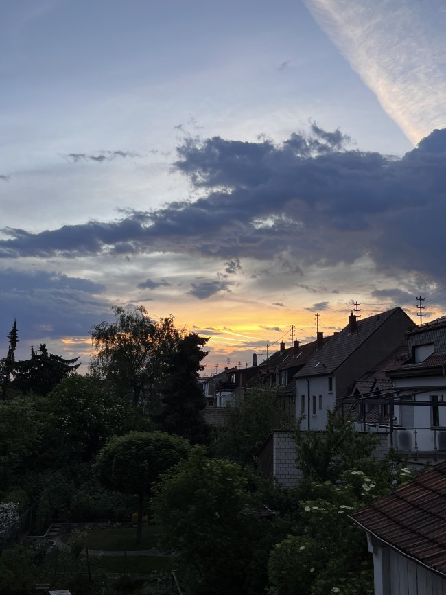 Foto: Richard Mücke Morgengruß