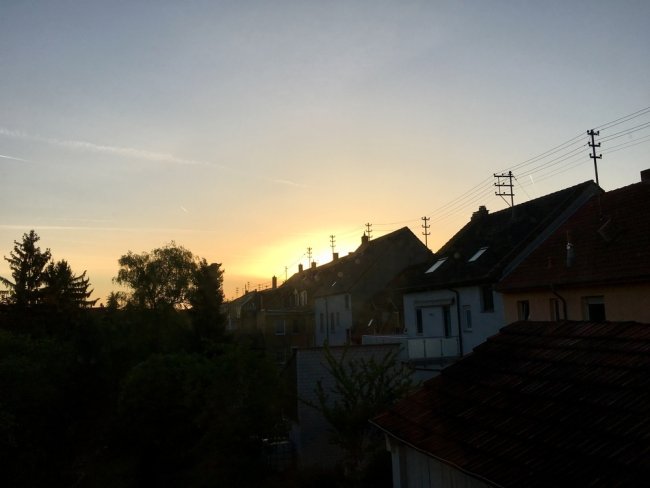 Foto: Richard Mücke Morgens